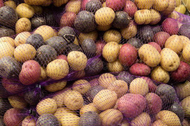 五颜六色的婴儿土豆在网袋里