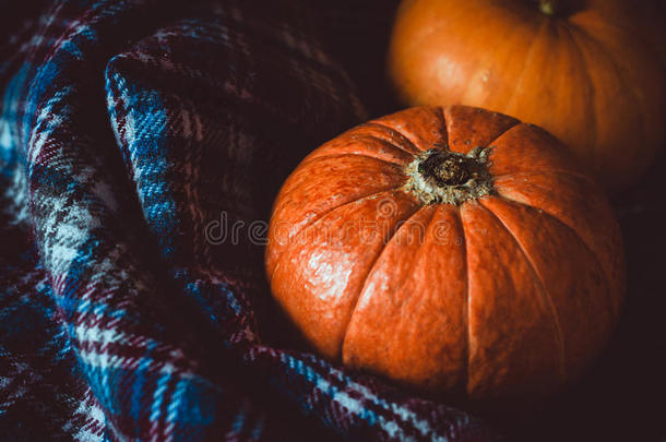 深色背景上橙色南瓜的分类。 秋天的象征，感恩节的概念。 静物，乡村风格
