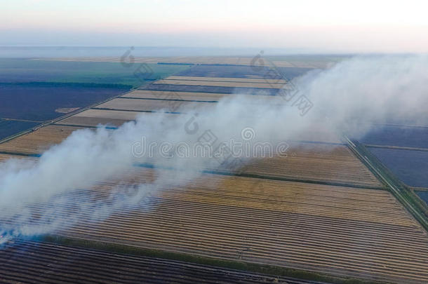 收割小麦作物后在田里焚烧稻草
