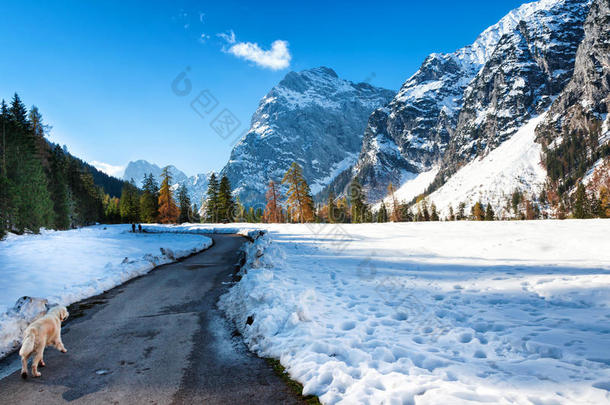 深秋季节的阿尔卑斯山景观。 雪在初冬和深秋下