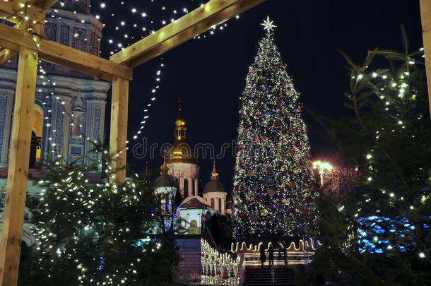 <strong>索菲</strong>亚广场的圣诞树，夜景。