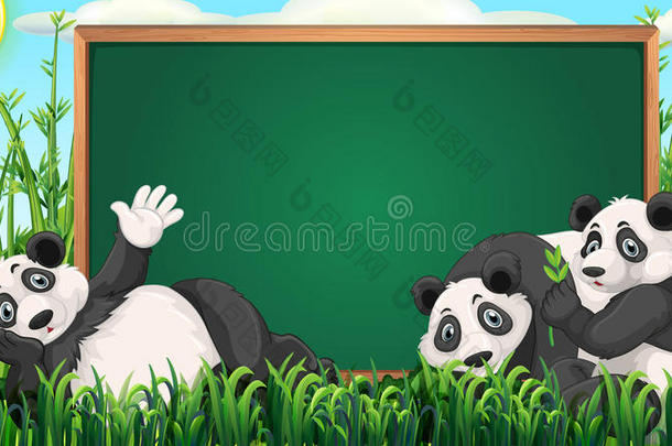 三只熊猫在草地上的董事会设计