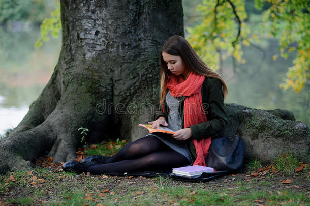 穿着鲜艳红领巾的可爱学生坐在公园里，靠在一棵大树的树干上。