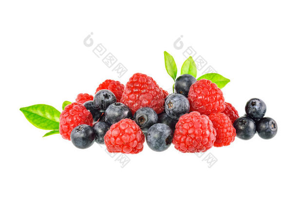 开胃的背景美丽的浆果蓝莓