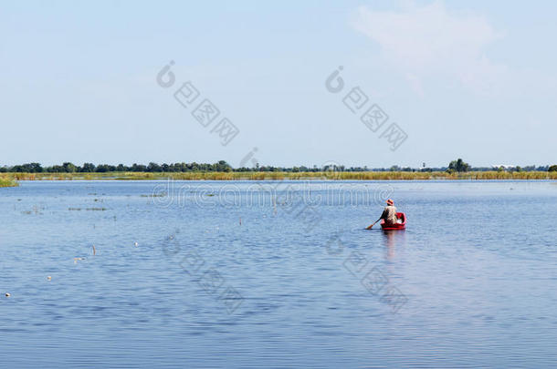 划船湖淹没了稻田。