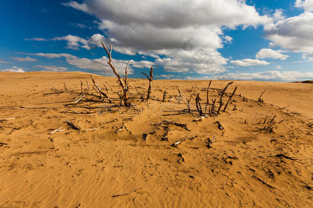 死亡的<strong>沙漠</strong>景观。 <strong>戈壁沙漠</strong>。