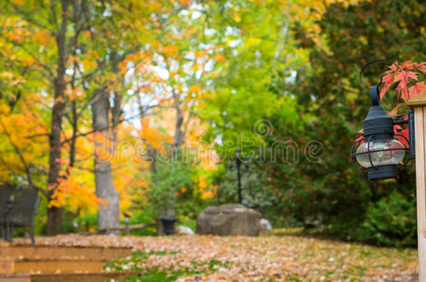 秋天的颜色，<strong>落叶</strong>和公园里的灯笼。