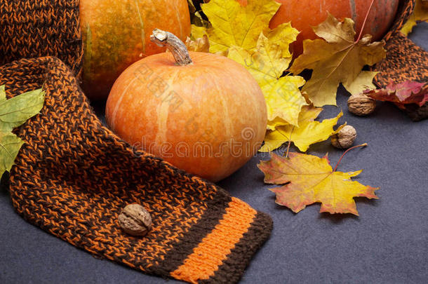 秋天的树叶，温暖的围巾和南瓜。