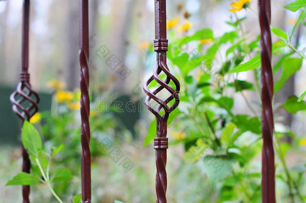 美丽的锻造栅栏。 装饰铸铁栅栏的形象。 金属栅栏。 美丽的篱笆与艺术锻造
