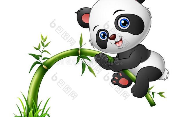 可爱的熊猫宝宝爬竹子