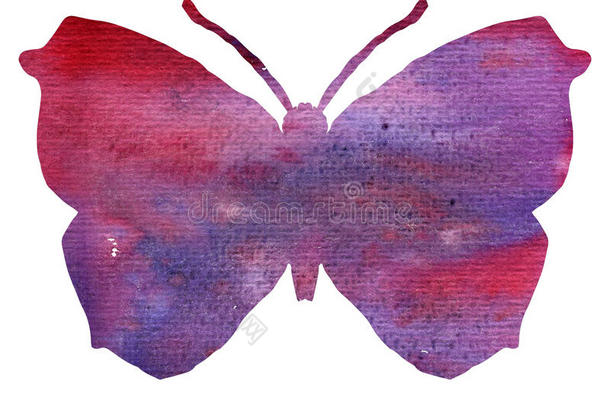 蝴蝶的彩色水彩剪影