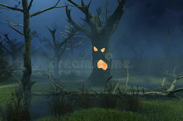 神奇的<strong>幽灵</strong>树在夜间沼泽