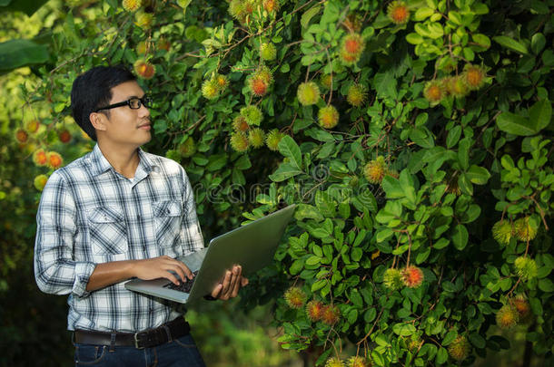 农民有吸引力的年轻人在水果园里站着笔记本电脑。