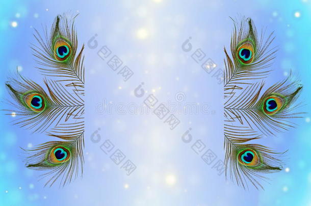 聚焦圆光抽象孔雀羽毛纹理背景