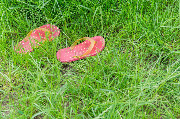 五颜六色的橡胶拖鞋或拖鞋在新鲜的绿色草地上