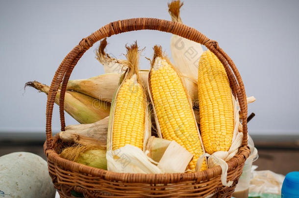 玉米的<strong>耳朵</strong>，露出黄色的籽粒，柳条篮子里的玉米<strong>照片</strong>