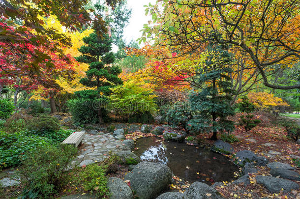 秋天的日本花园