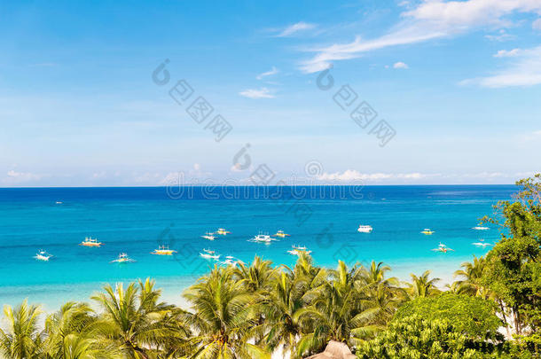美丽的棕榈树在白色的沙滩上。 背景中的海洋和Boracay岛。 夏季自然景观。