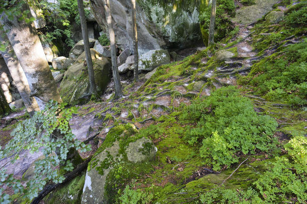 灌木岩石，巨大的石头，岩石，<strong>苔藓</strong>，根在<strong>苔藓</strong>中，树在岩石中，<strong>苔藓</strong>，物体，自然，树，森林，岩石