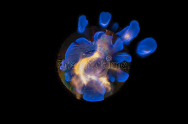 燃烧CD蓝色火焰