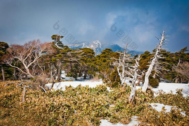 阿尔卑斯山背景美丽的美女蓝色