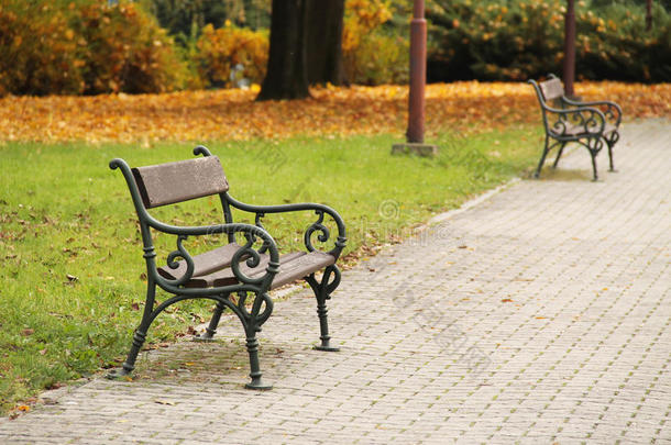 秋天公园的长椅