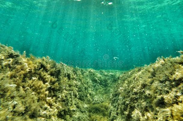 美女潜水制造的马耳他照片