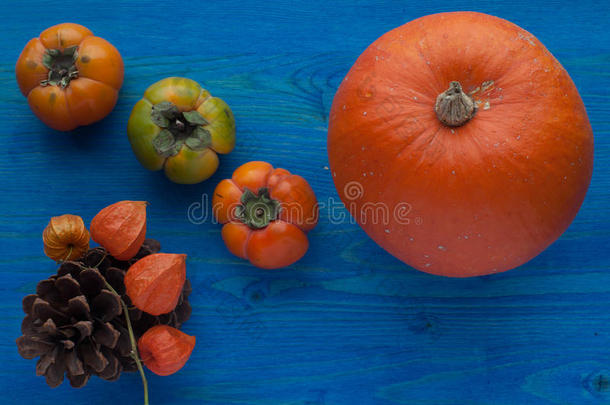 秋季蔬果：蓝色背景下的南瓜和柿子