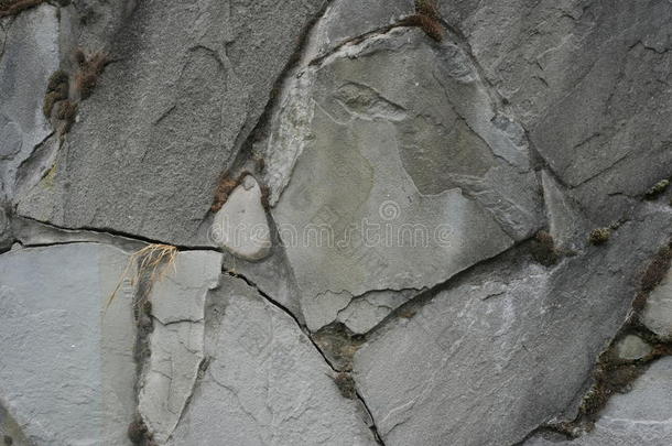 扁平的灰色石头