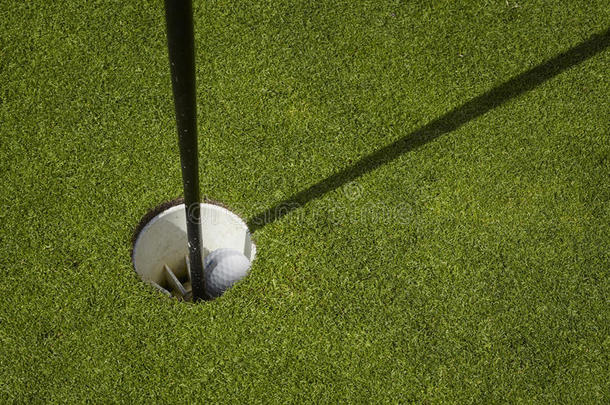 高尔夫球坐在高尔夫球场的杯子里放绿色