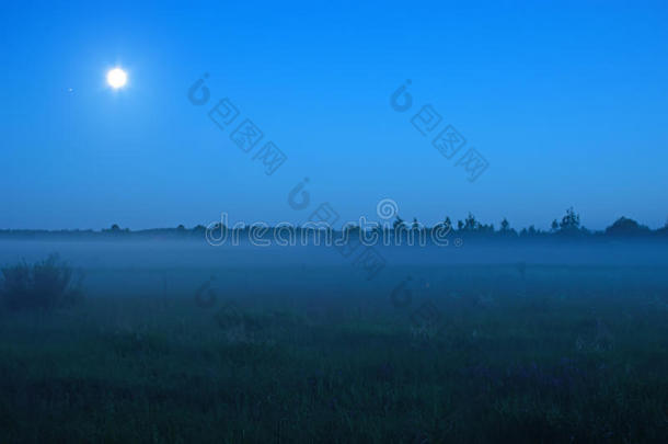 夏天的草地，在夜晚的雾中，在月光下