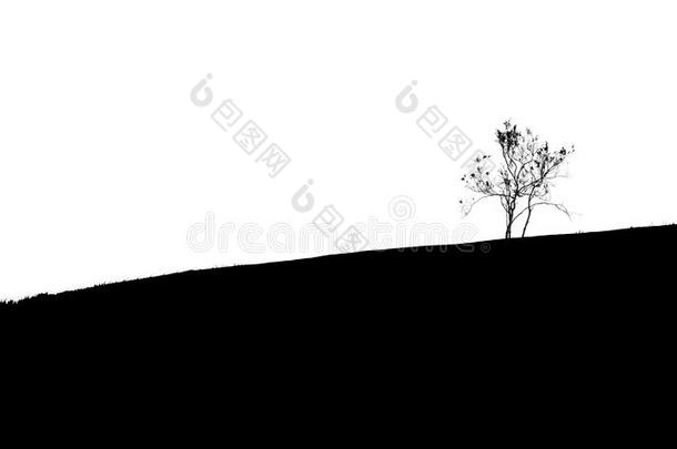 黑白照片的山脉和小山与小树。