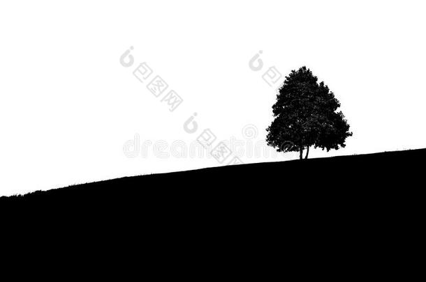 黑白照片的山脉和小山与小树。