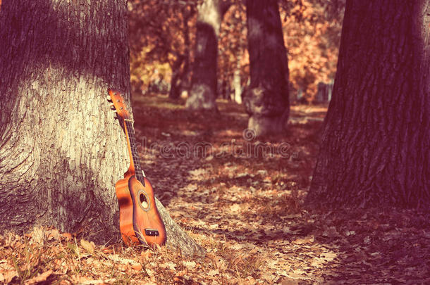 吉他站在公园的树旁