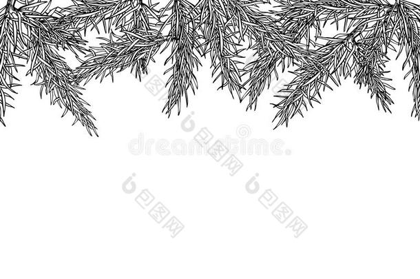 冷杉树<strong>手绘矢量框</strong>架，用于寒假装饰。