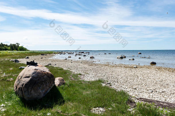波罗的海舒适的海滩，有岩石和绿色的植被
