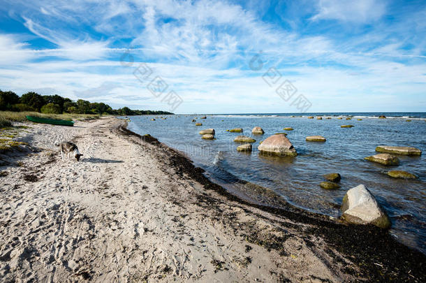 波罗的海舒适的海滩，有岩石和绿色的植被