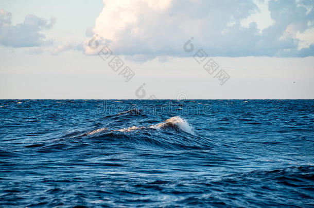 波罗的海的舒适海滩，水在r上<strong>哗啦啦</strong>