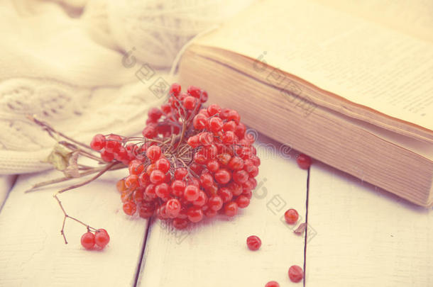 秋天的静谧生活，罗文贝里和旧书在一个白色的乡村