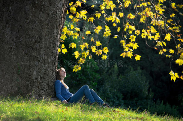 秋天，女孩坐在枫树下的草地上