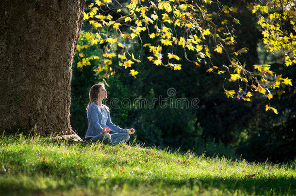 秋天，女孩坐在枫树下的草地上沉思