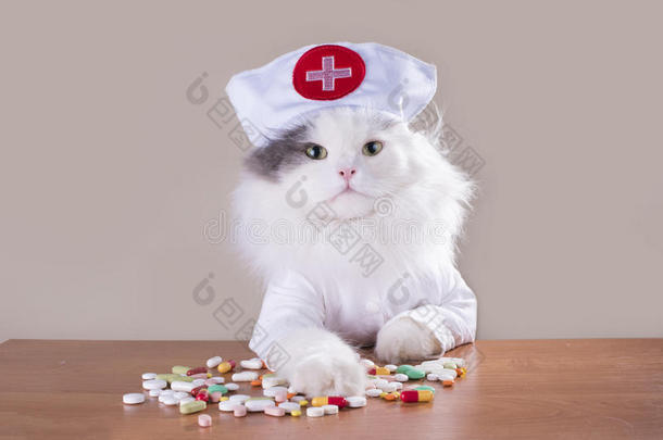 穿着医生西装的猫给药