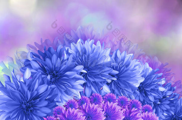 蓝绿色的花，粉红色的紫色模糊的背景