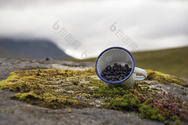 美味的蓝莓展示在杯子中，采摘自丰富的瑞典地面，自然背景