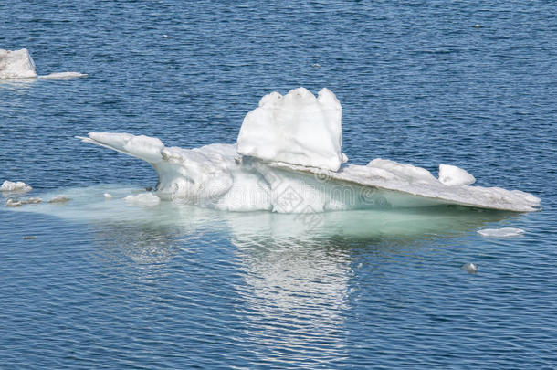 北极的气氛气候条件生态学