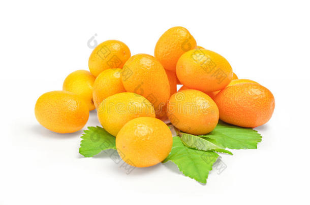 背景柑橘颜色金桔节食