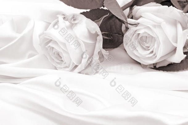 丝绸上美丽的白色玫瑰作为婚礼背景。 在SepiaT