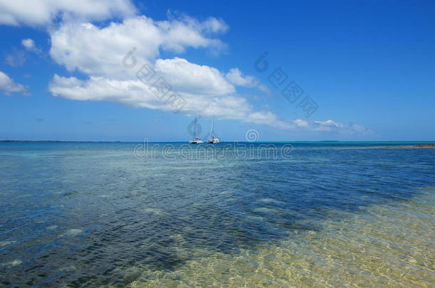 汤加汤加塔浦岛附近的潘加莫图岛的清水