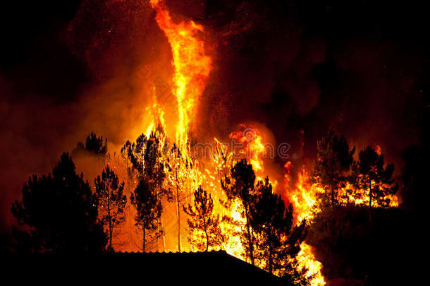 靠近房子的森林大火