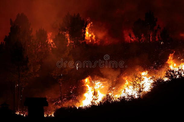 靠近房子的森林大火